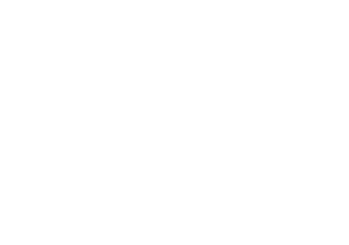 Team Web Sparks logo
